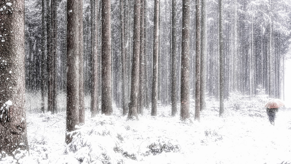 Platz 2 Conny Kleiner